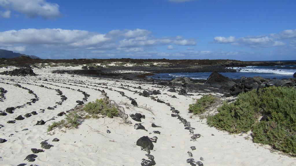 Marysol 6 Terrace With Sea Views, Close To The Sea Punta Mujeres 部屋 写真