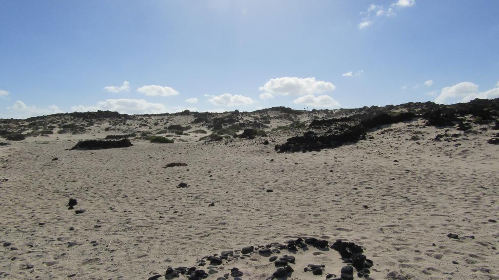 Marysol 6 Terrace With Sea Views, Close To The Sea Punta Mujeres 部屋 写真